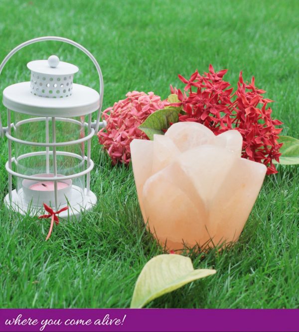 Rose Bud Tea Light-candle holder