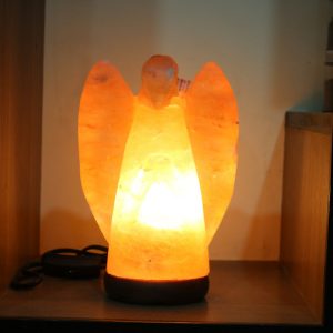 Himalayan Pink Salt Angel Shaped Lamp - Hub Salt eShop